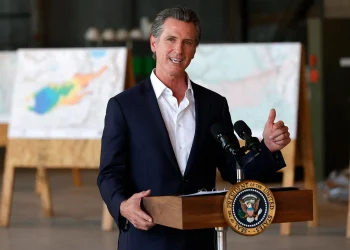 California Sets the Framework for Responsible AI Deployment with Expert Collaboration